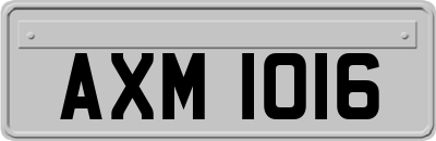 AXM1016