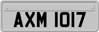 AXM1017