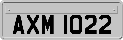 AXM1022