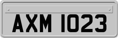 AXM1023