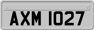 AXM1027