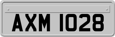AXM1028