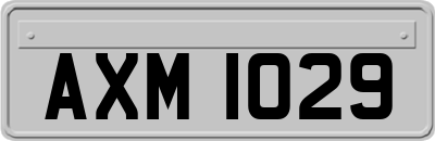 AXM1029