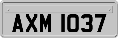 AXM1037