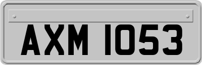 AXM1053