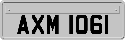 AXM1061