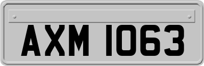 AXM1063