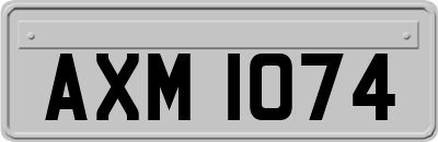 AXM1074