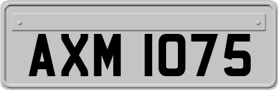 AXM1075