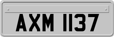AXM1137