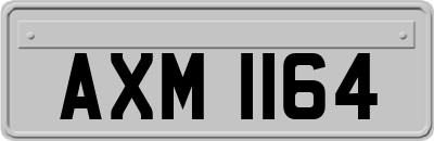 AXM1164