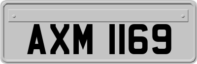 AXM1169