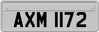 AXM1172