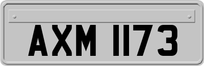AXM1173