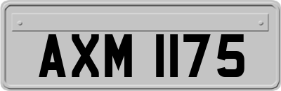 AXM1175