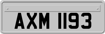 AXM1193