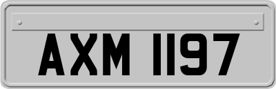 AXM1197