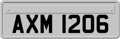 AXM1206