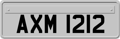 AXM1212