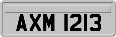 AXM1213