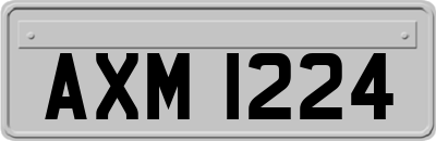 AXM1224