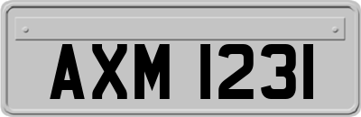 AXM1231