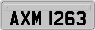 AXM1263