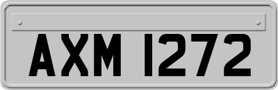 AXM1272
