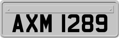 AXM1289