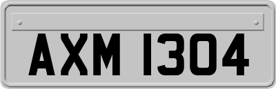AXM1304
