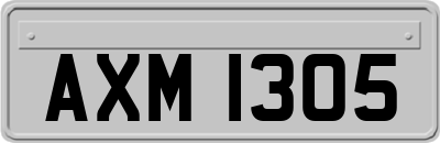 AXM1305