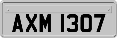 AXM1307