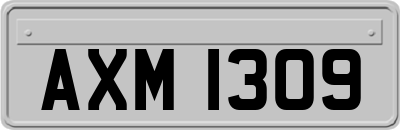 AXM1309