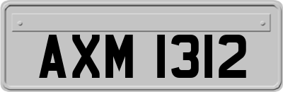 AXM1312