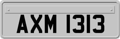 AXM1313