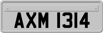 AXM1314
