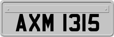 AXM1315