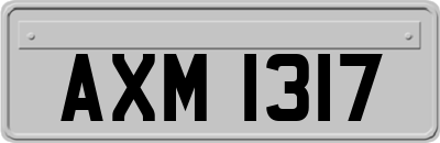 AXM1317