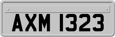 AXM1323