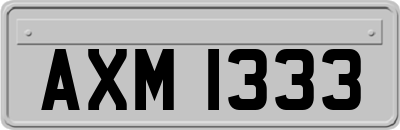 AXM1333