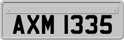 AXM1335