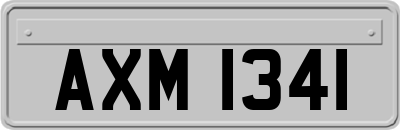 AXM1341