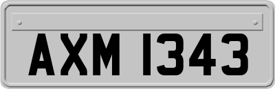 AXM1343