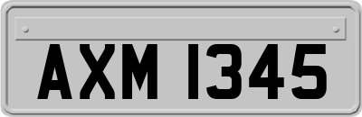 AXM1345