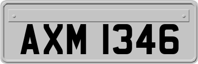 AXM1346
