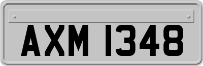 AXM1348