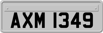 AXM1349
