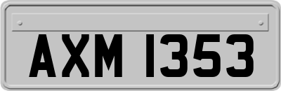 AXM1353