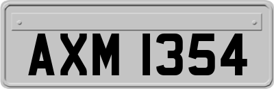 AXM1354