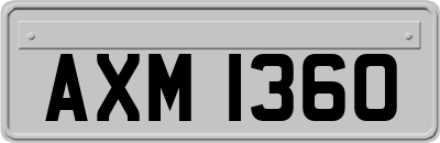 AXM1360